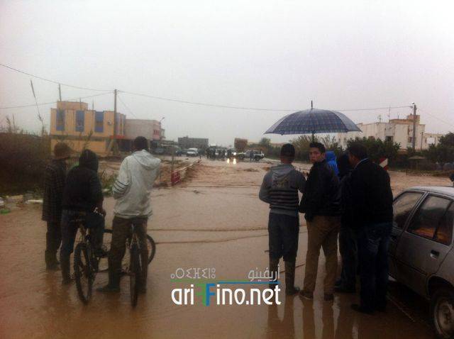 nador2084