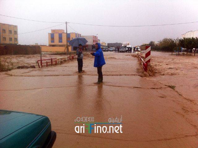 nador2088