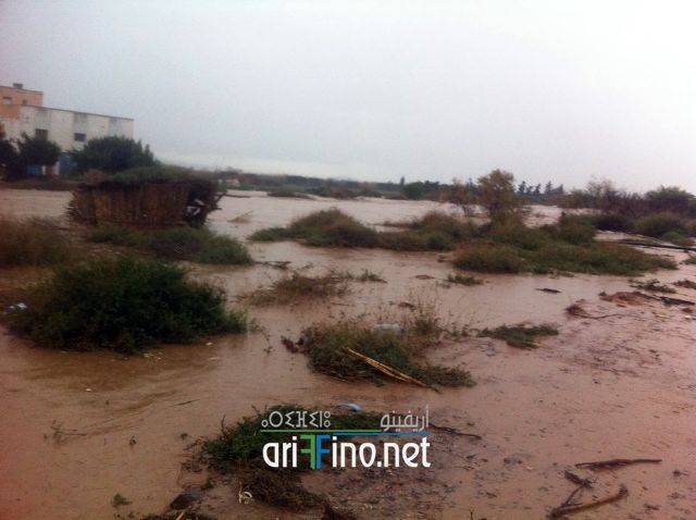 nador2089