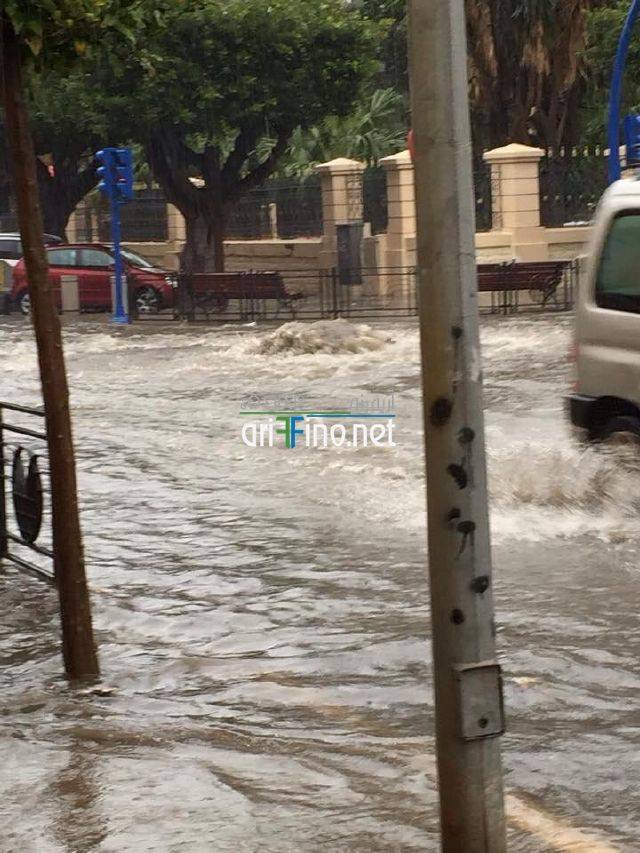 nador2131