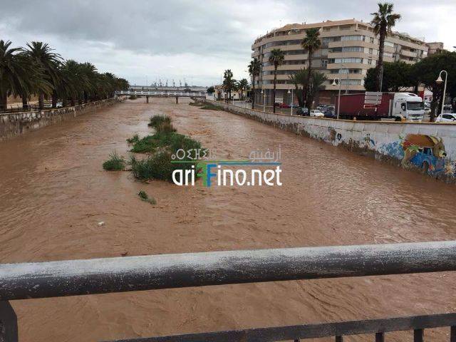 nador2133