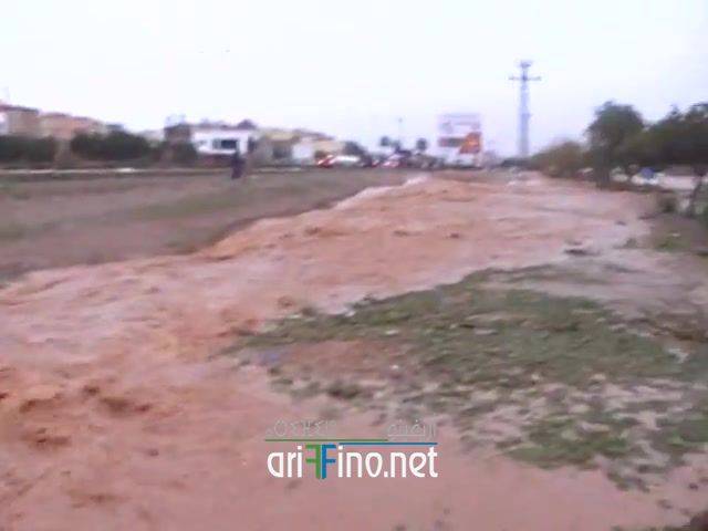 nador2139