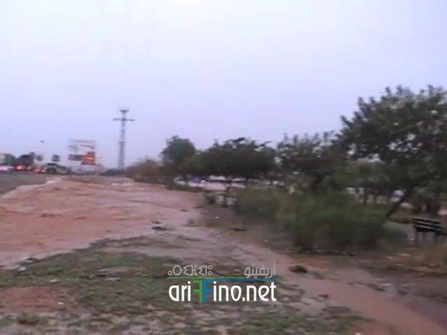 nador2142