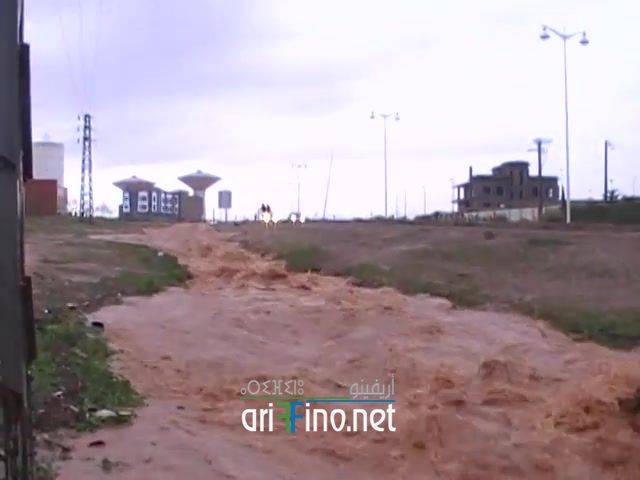 nador2146