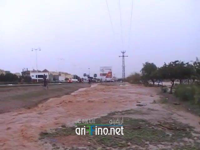 nador2147