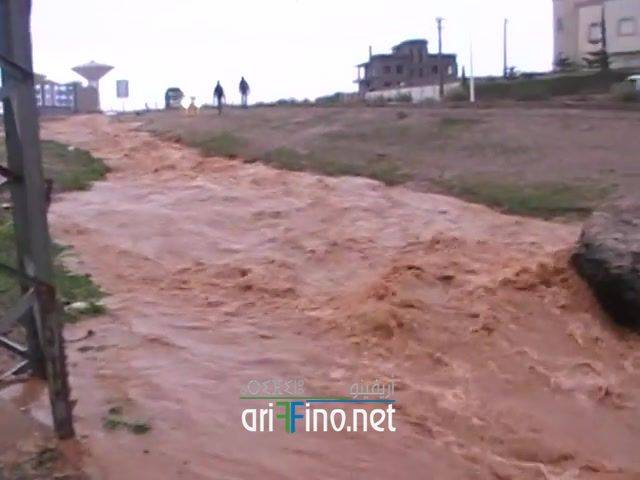 nador2169