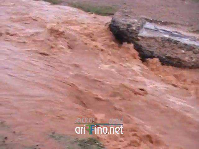 nador2171