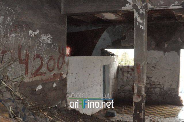 nador2231