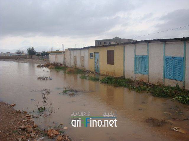 nador2423