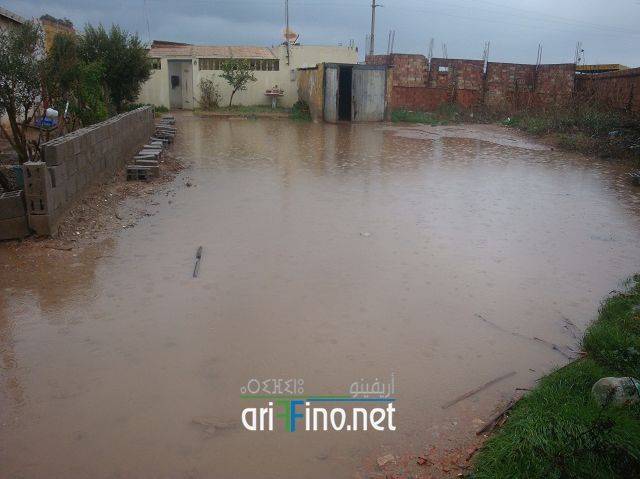 nador2426