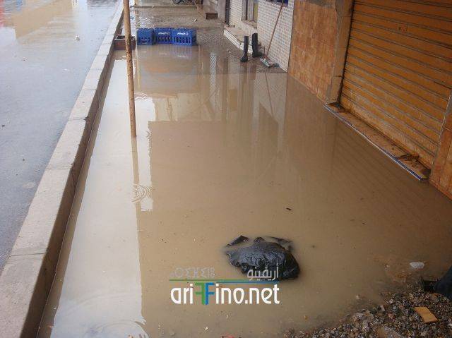 nador2427