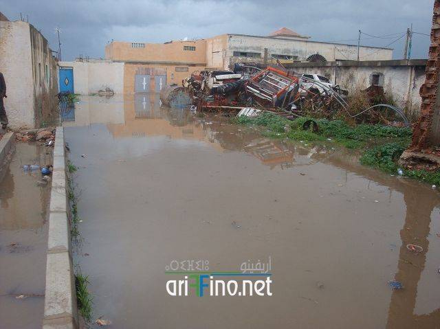 nador2429