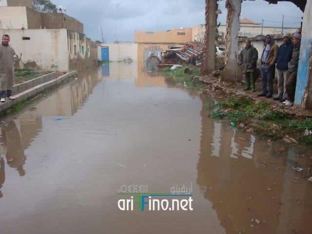 nador2431