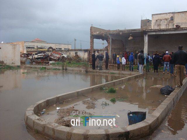nador2433