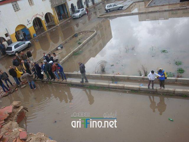 nador2436