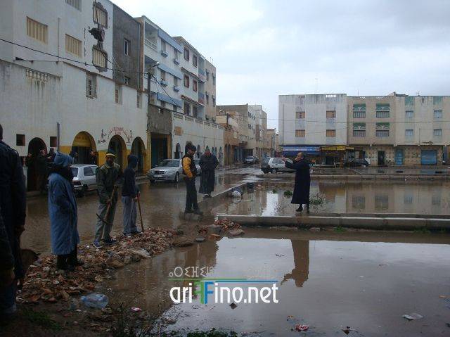 nador2439