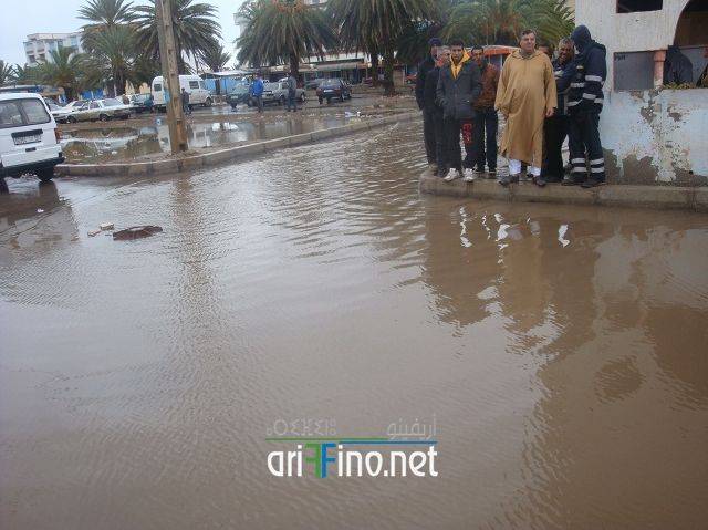 nador2441