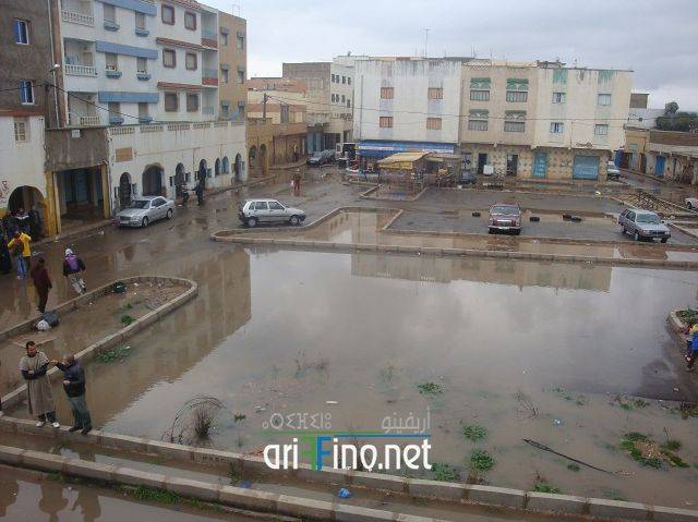 nador2442