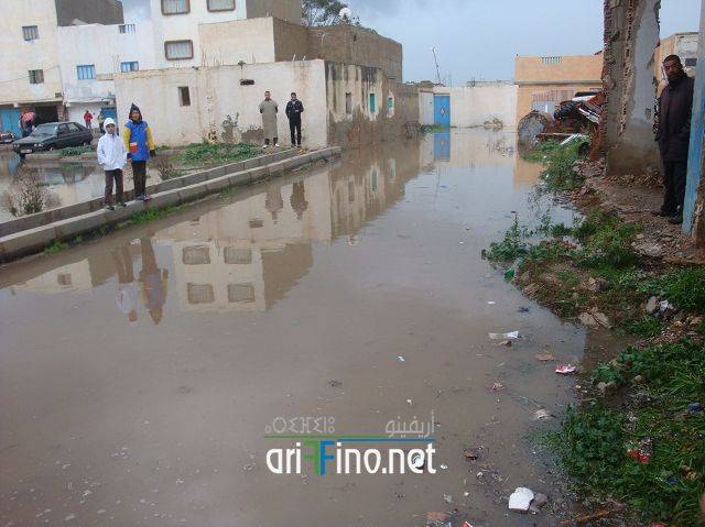 nador2444