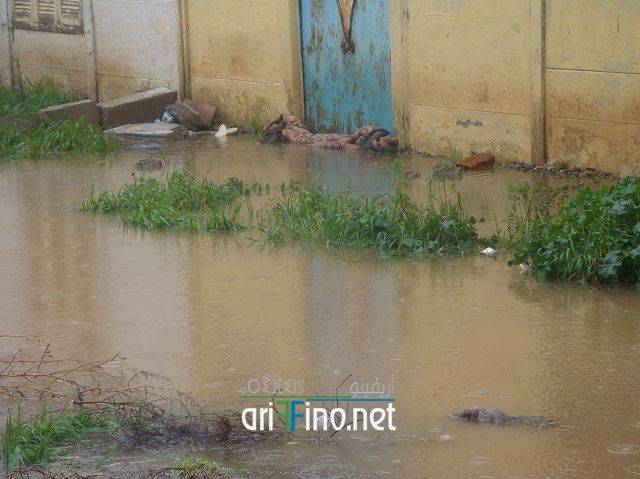 nador2449