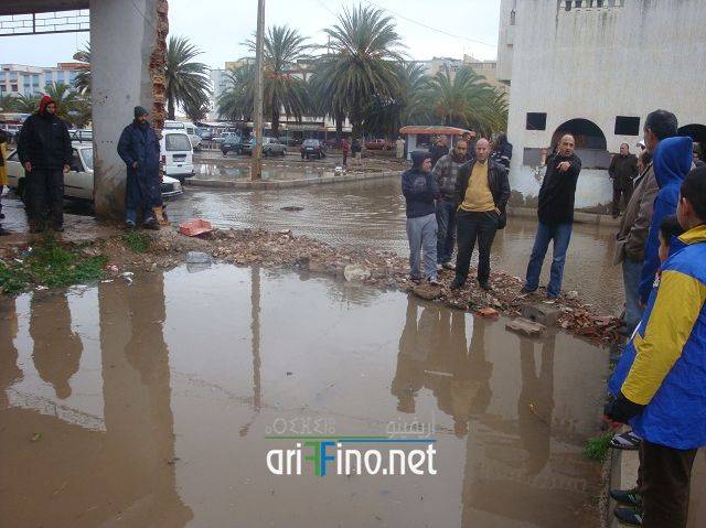nador2452