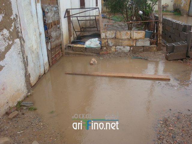 nador2453