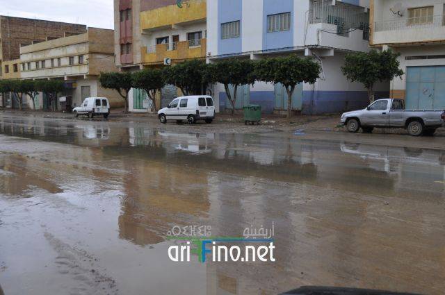 nador2471