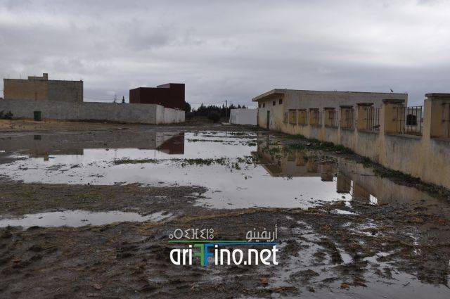 nador2481
