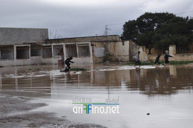 nador2483