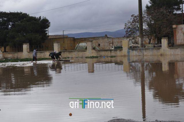 nador2484