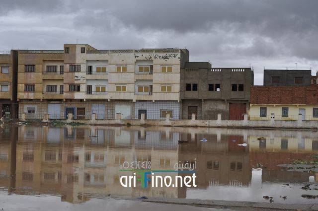 nador2491