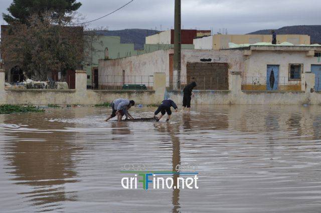 nador2492