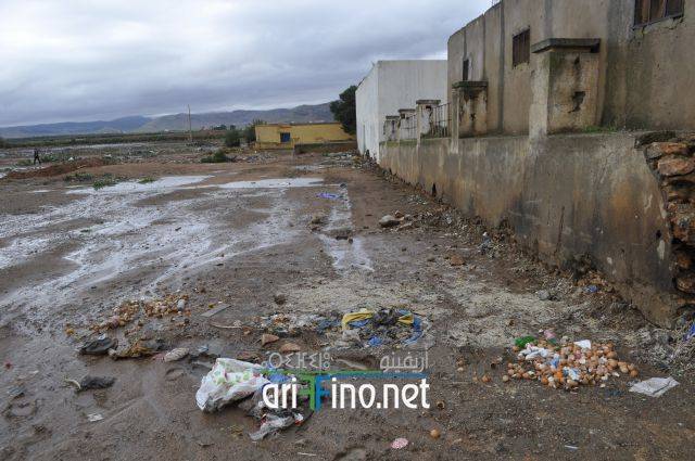 nador2494