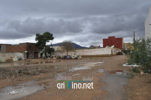 nador2499