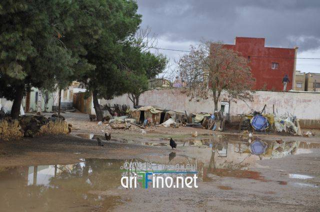 nador2502