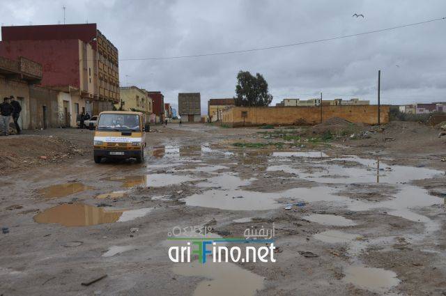 nador2541