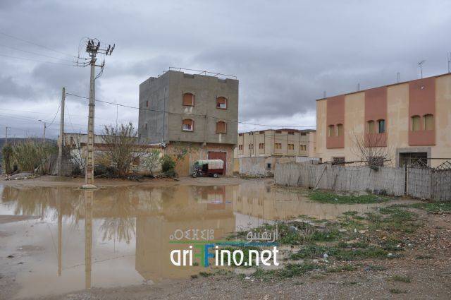 nador2550