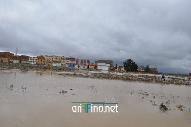 nador2554