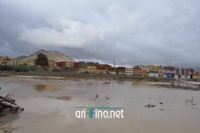 nador2556