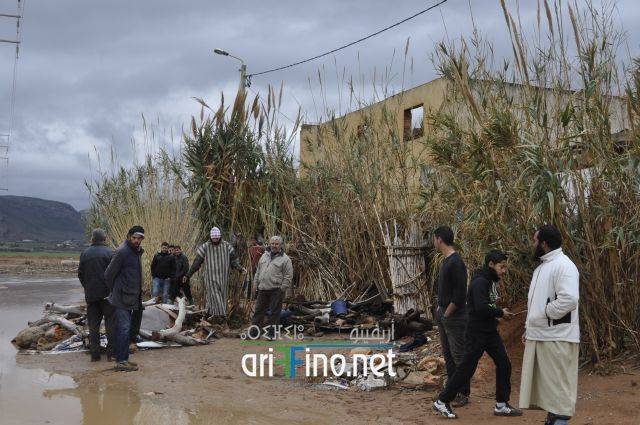 nador2558
