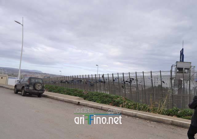 nador2742