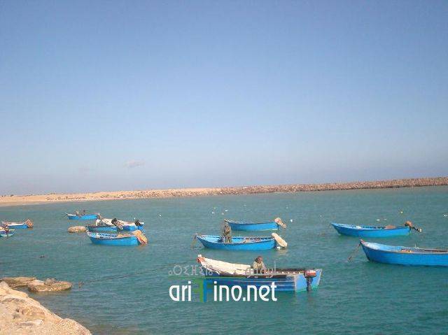nador2842