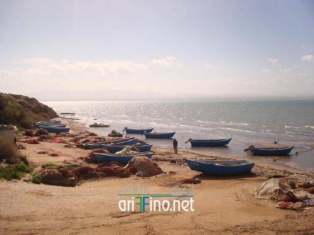 nador2855