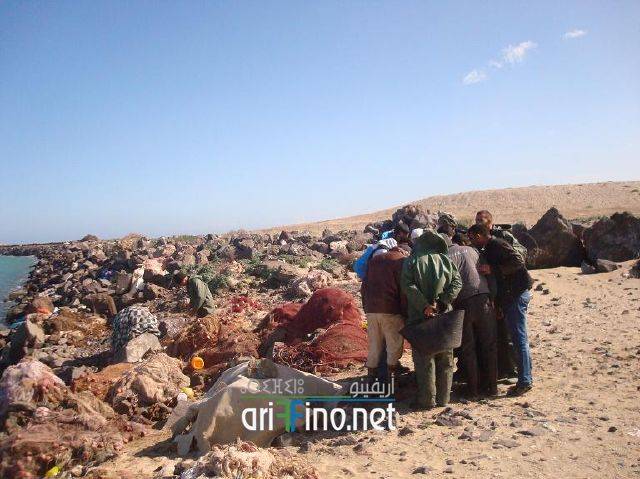 nador2865