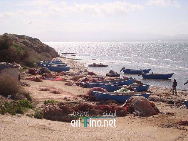 nador2868