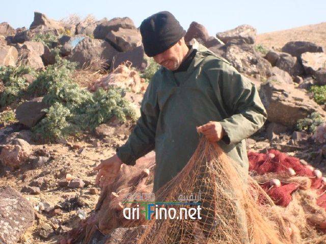 nador2869
