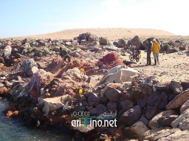 nador2871