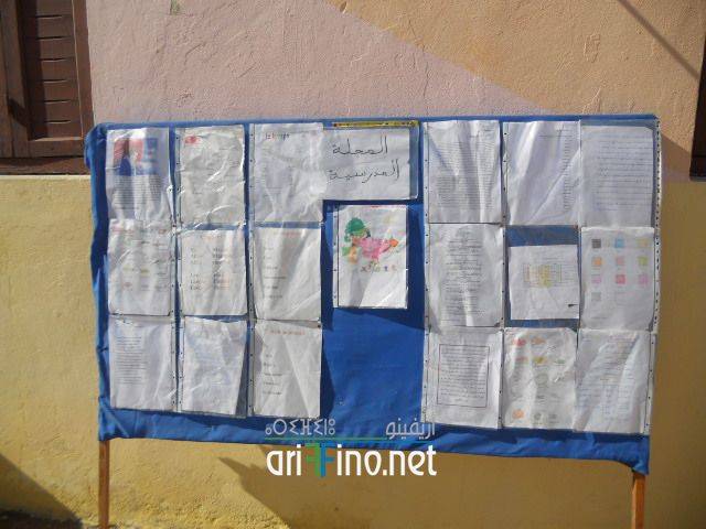 nador3244