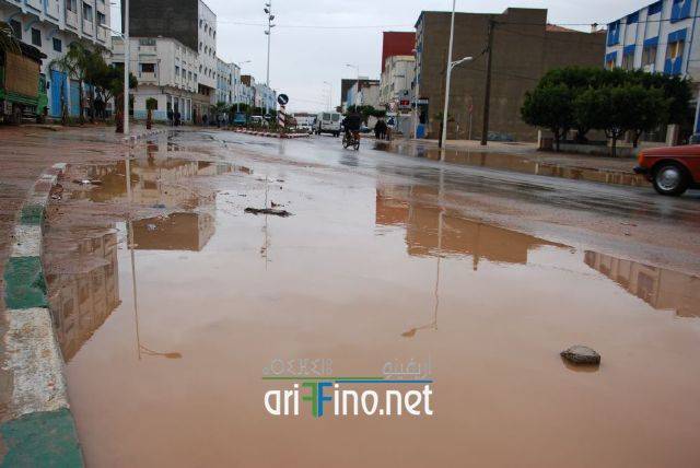 nador3361