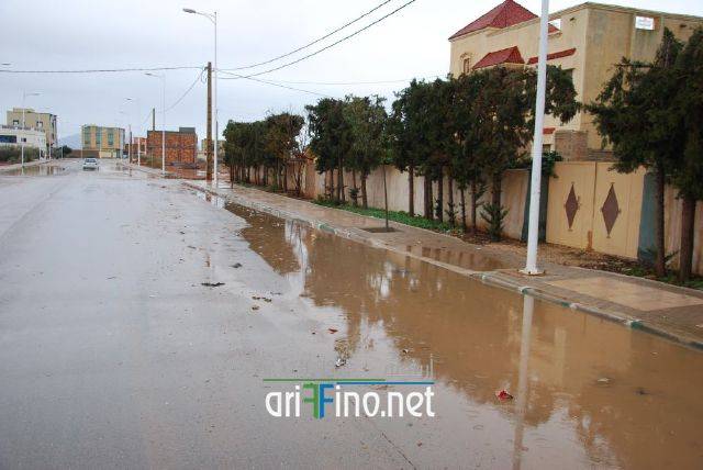 nador3364